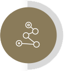 Ikona
